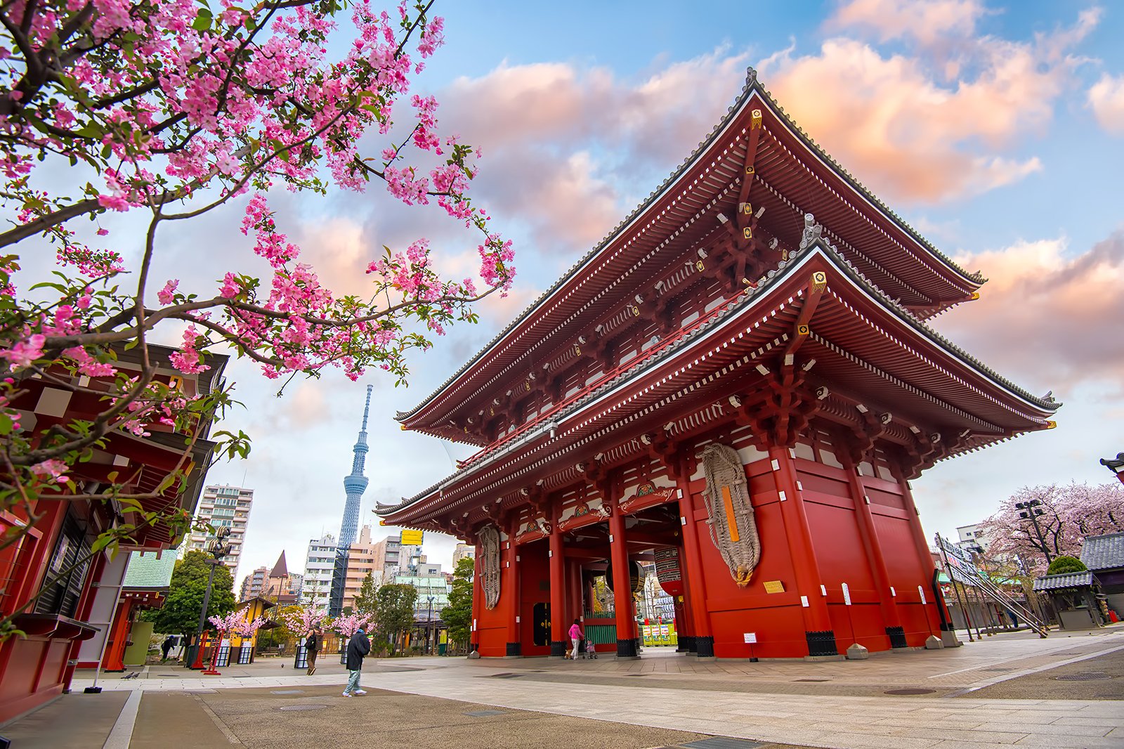Cherry blossoms framing Hozomon Gate of Senso-ji temple, Japan