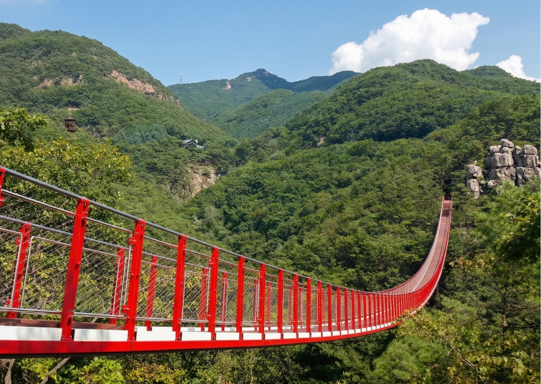 DMZ & Suspension Bridge Tour