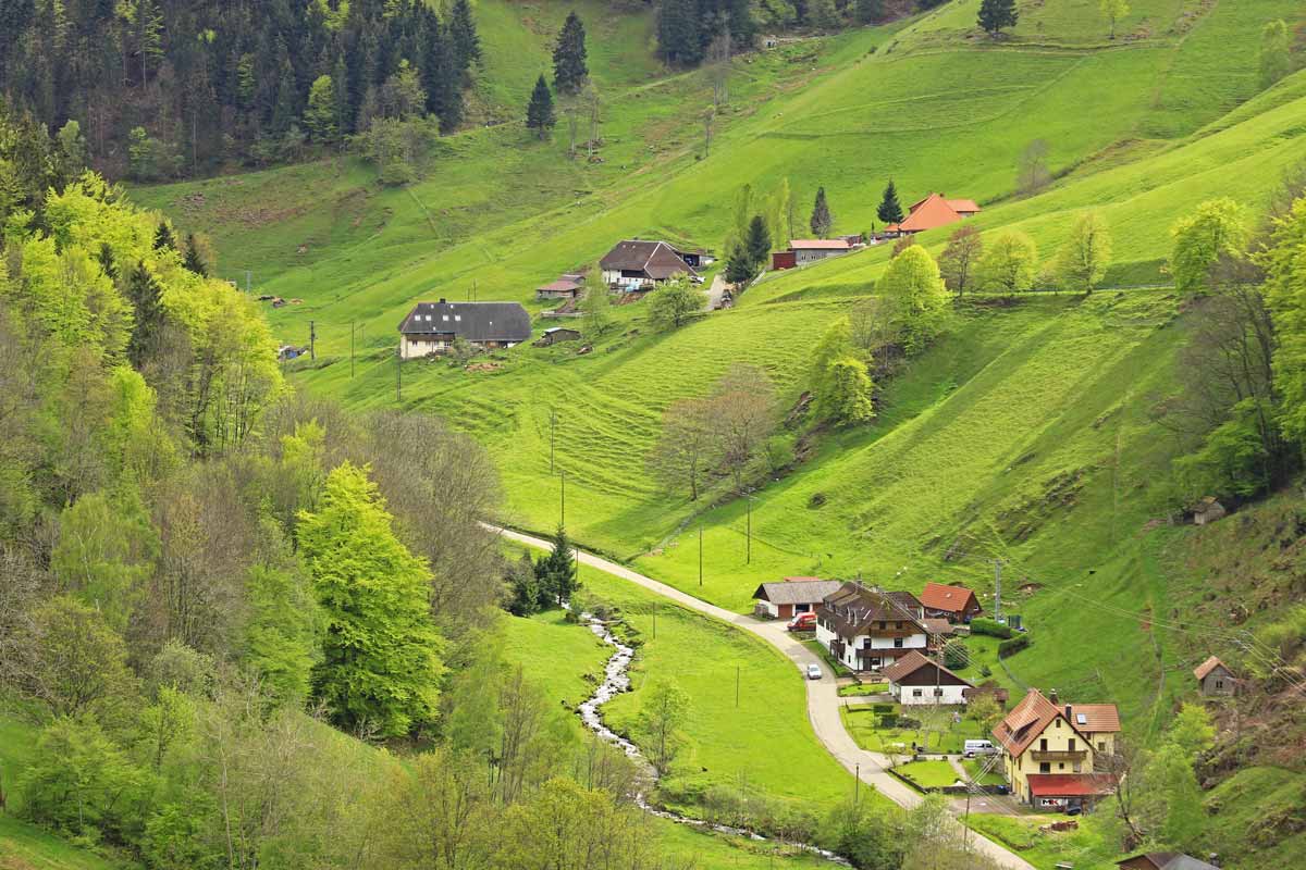 Black Forest, Titisee & Rhine Falls