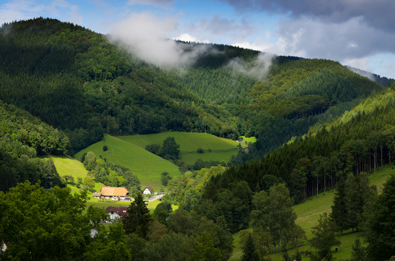 Black Forest, Cuckoo Clocks & Rhine Falls