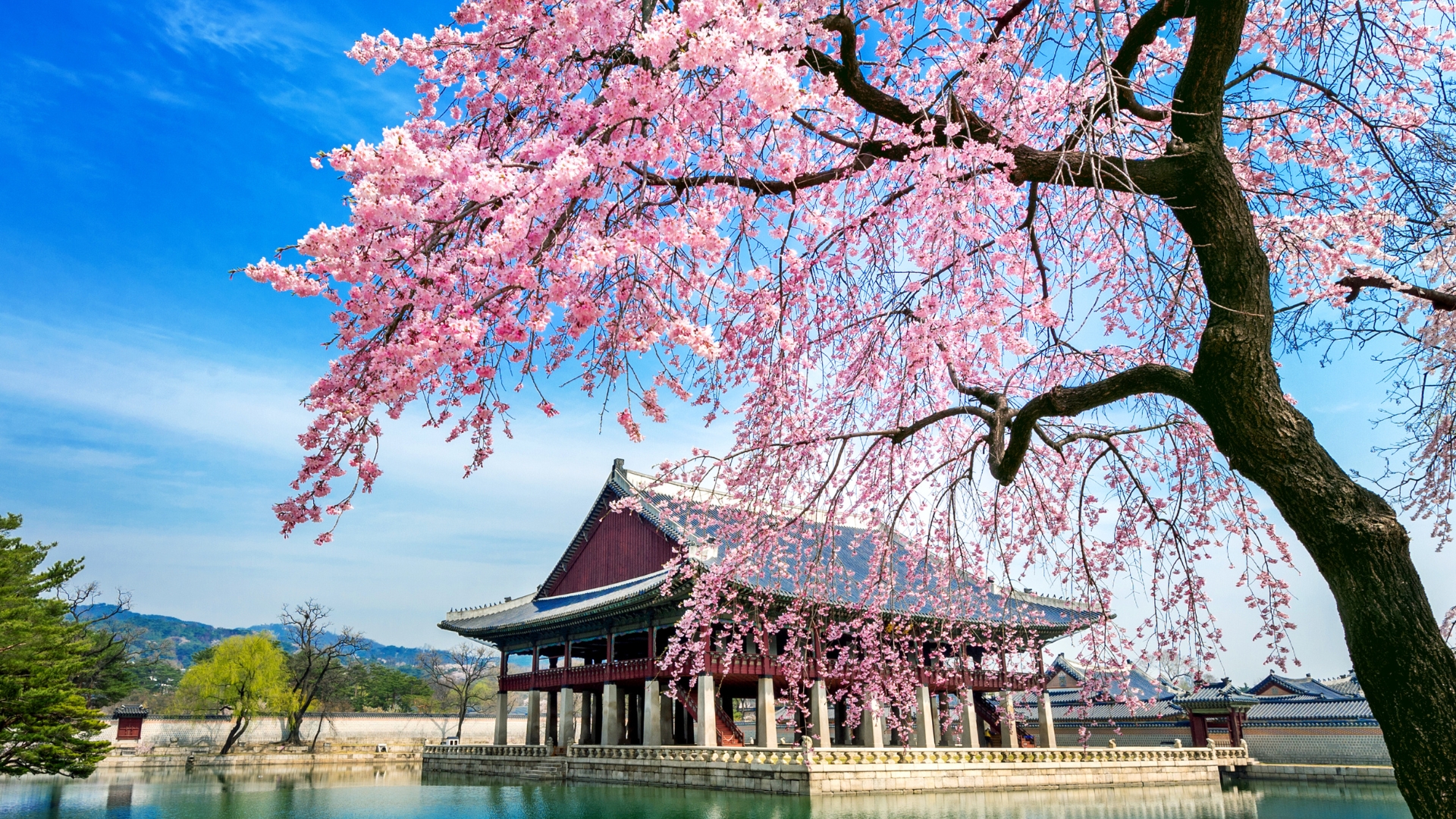Goodbye, South Korea!