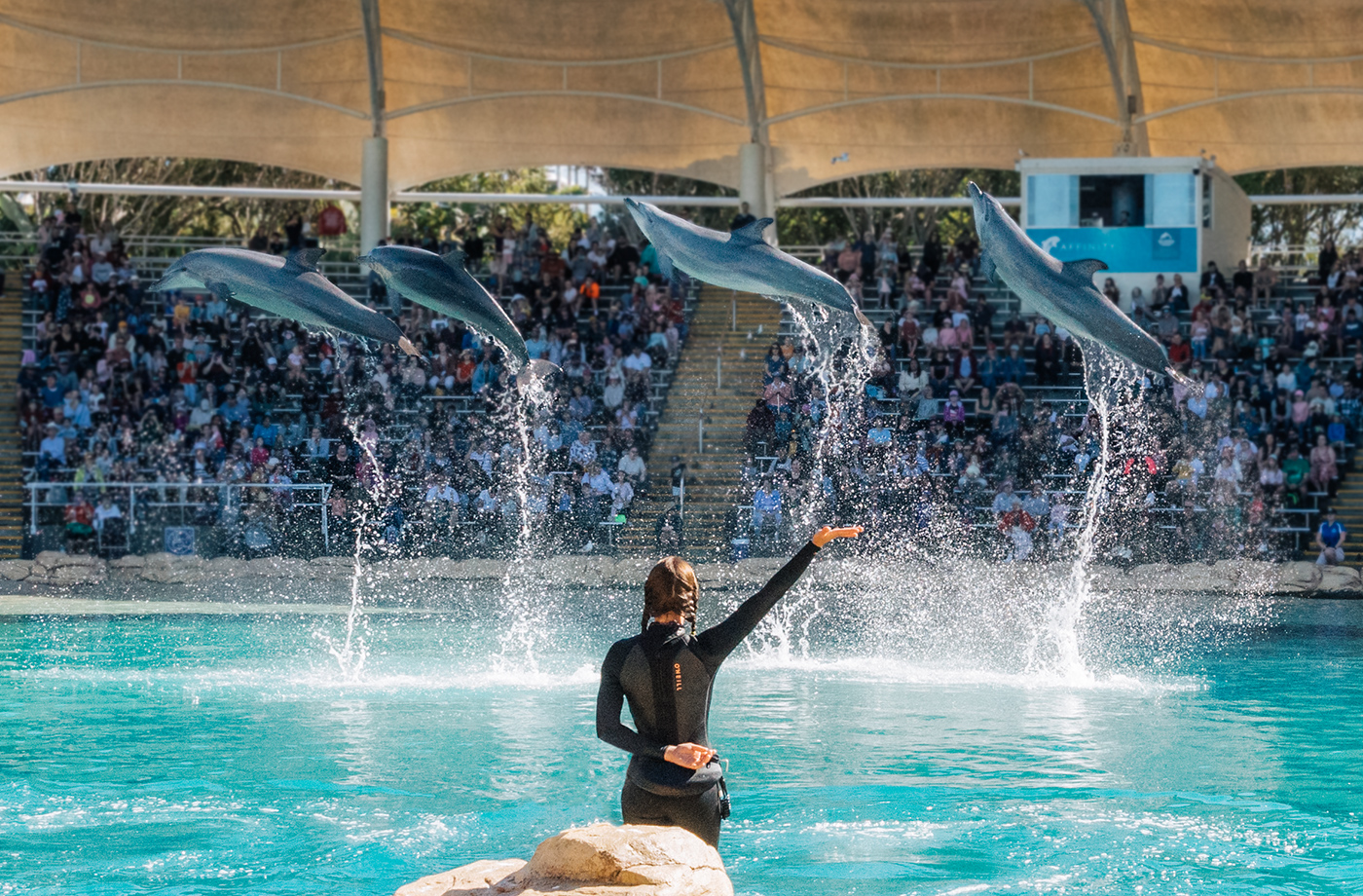 Sea World Adventure