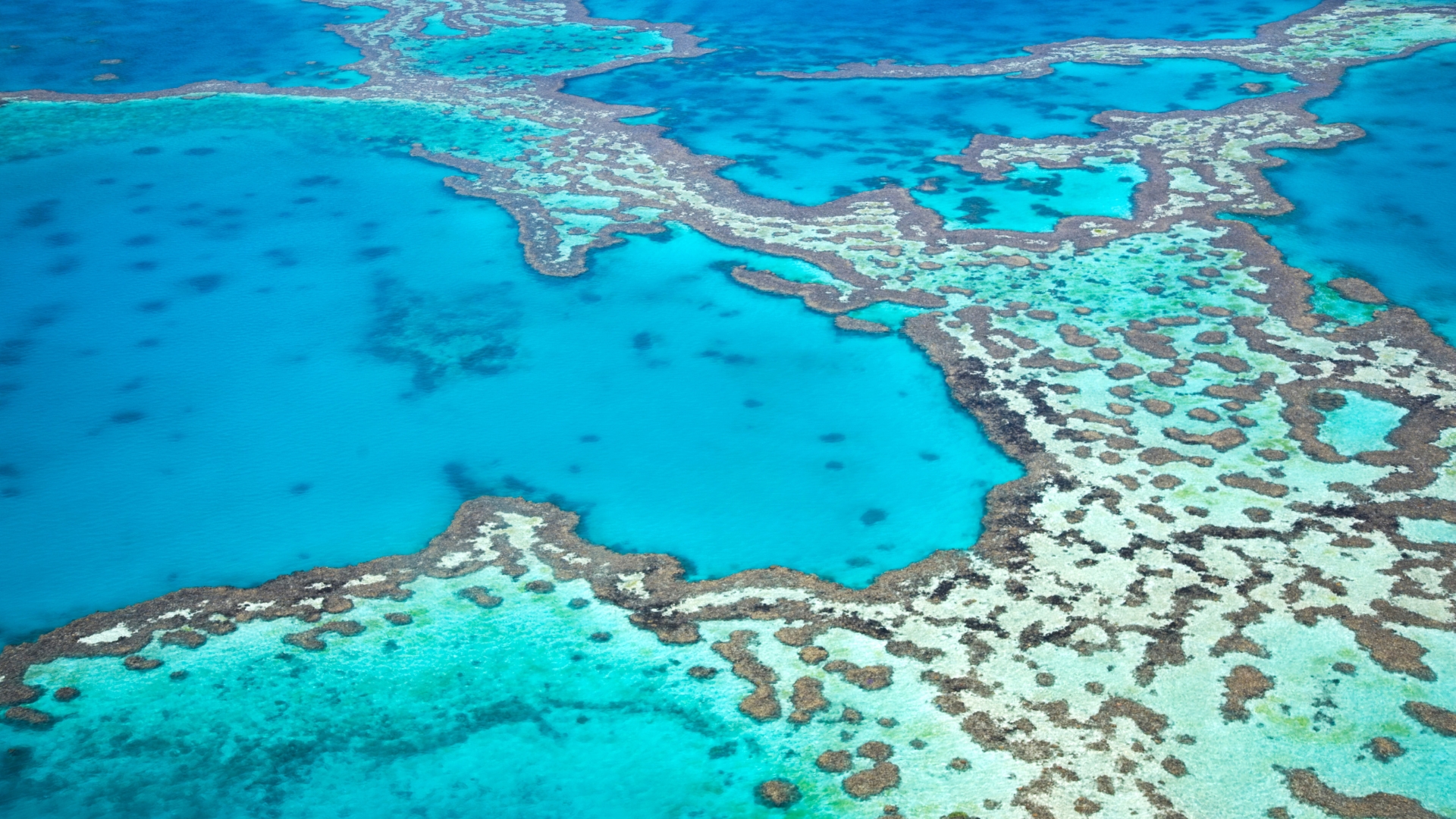 Aerial view of vibrant turquoise and shallow waters across the Great Barrier Reef