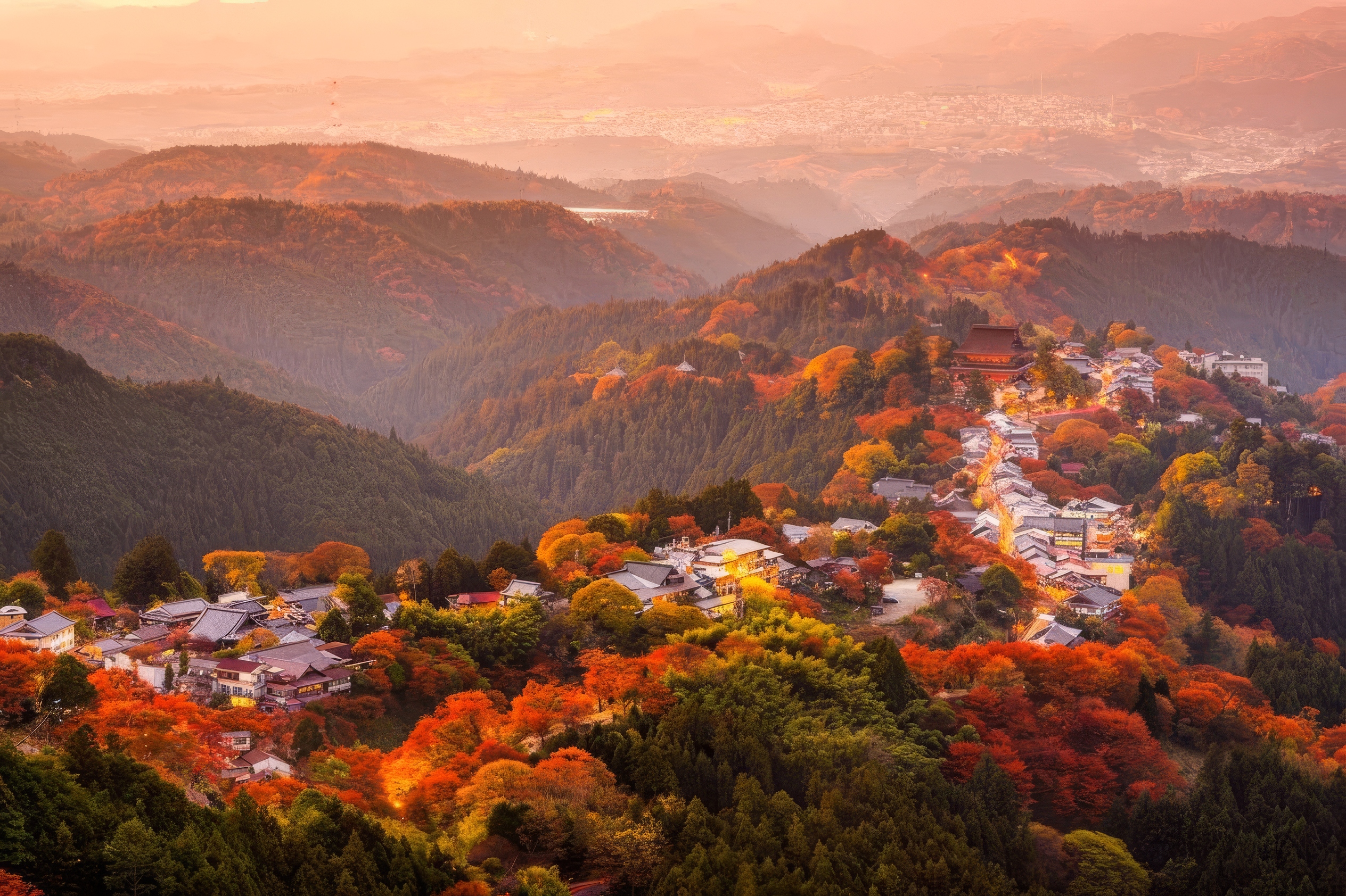 Mt Yoshino Day Trip