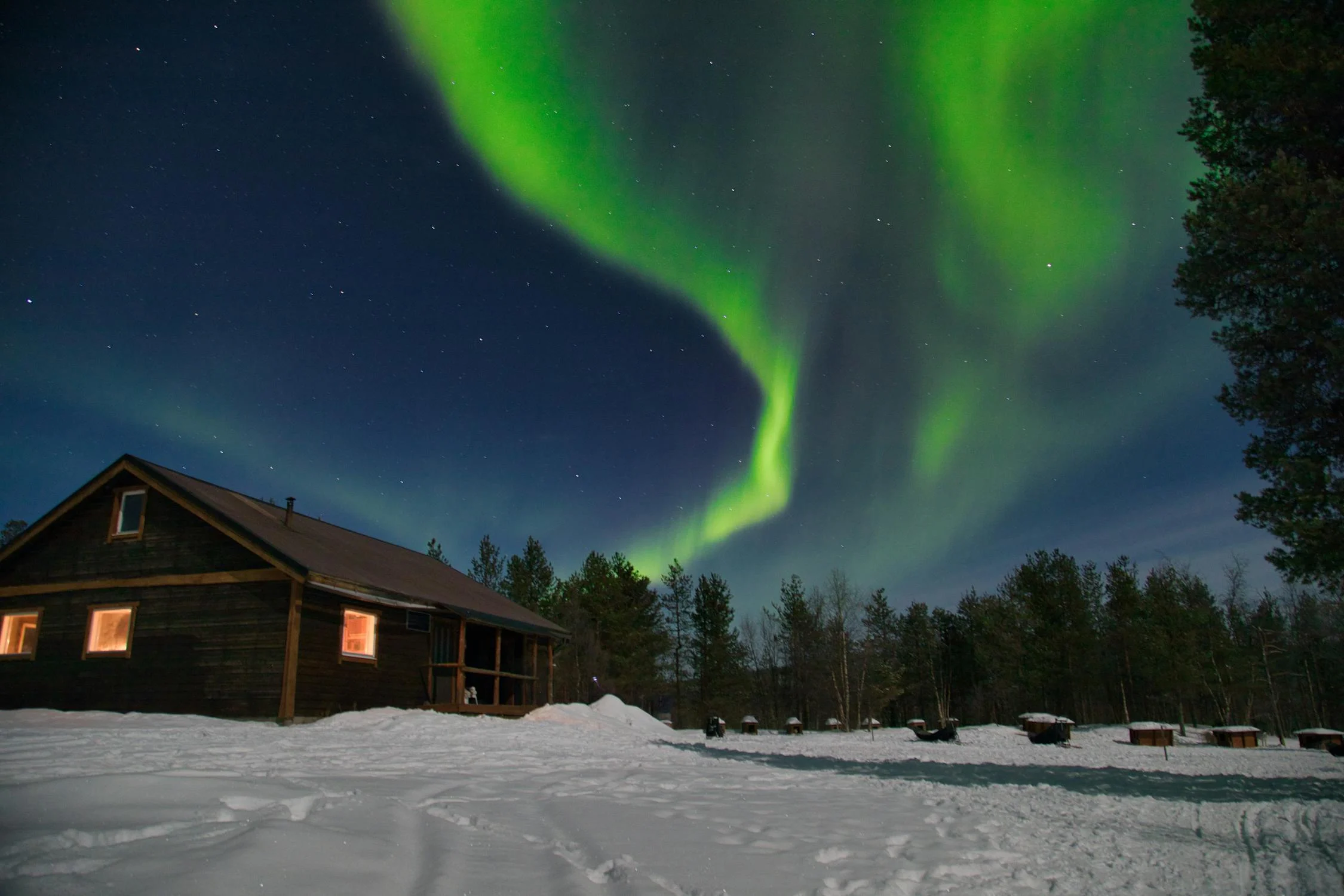 Narvik to Kiruna via Abisko National Park