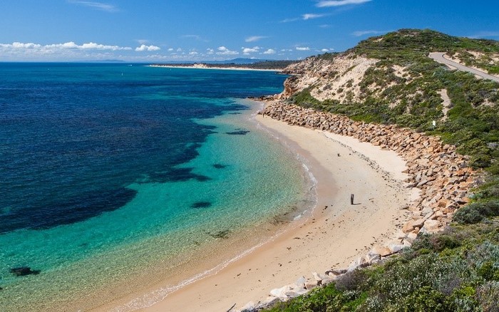 Melbourne City Highlights & Phillip Island