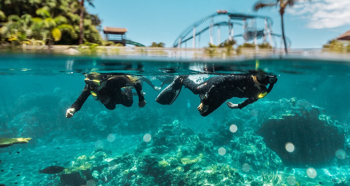 Sea World Adventure