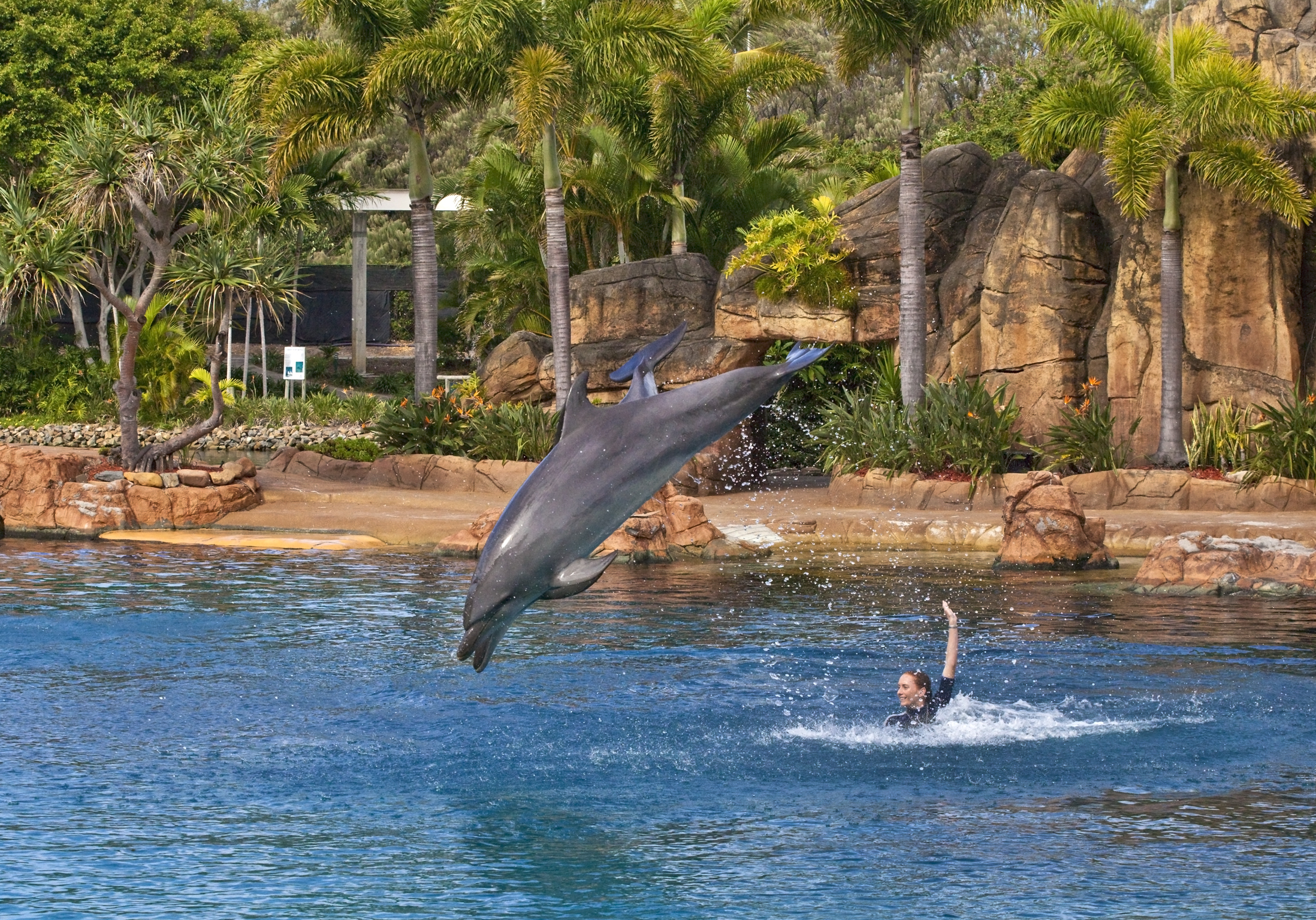 Sea World Adventure
