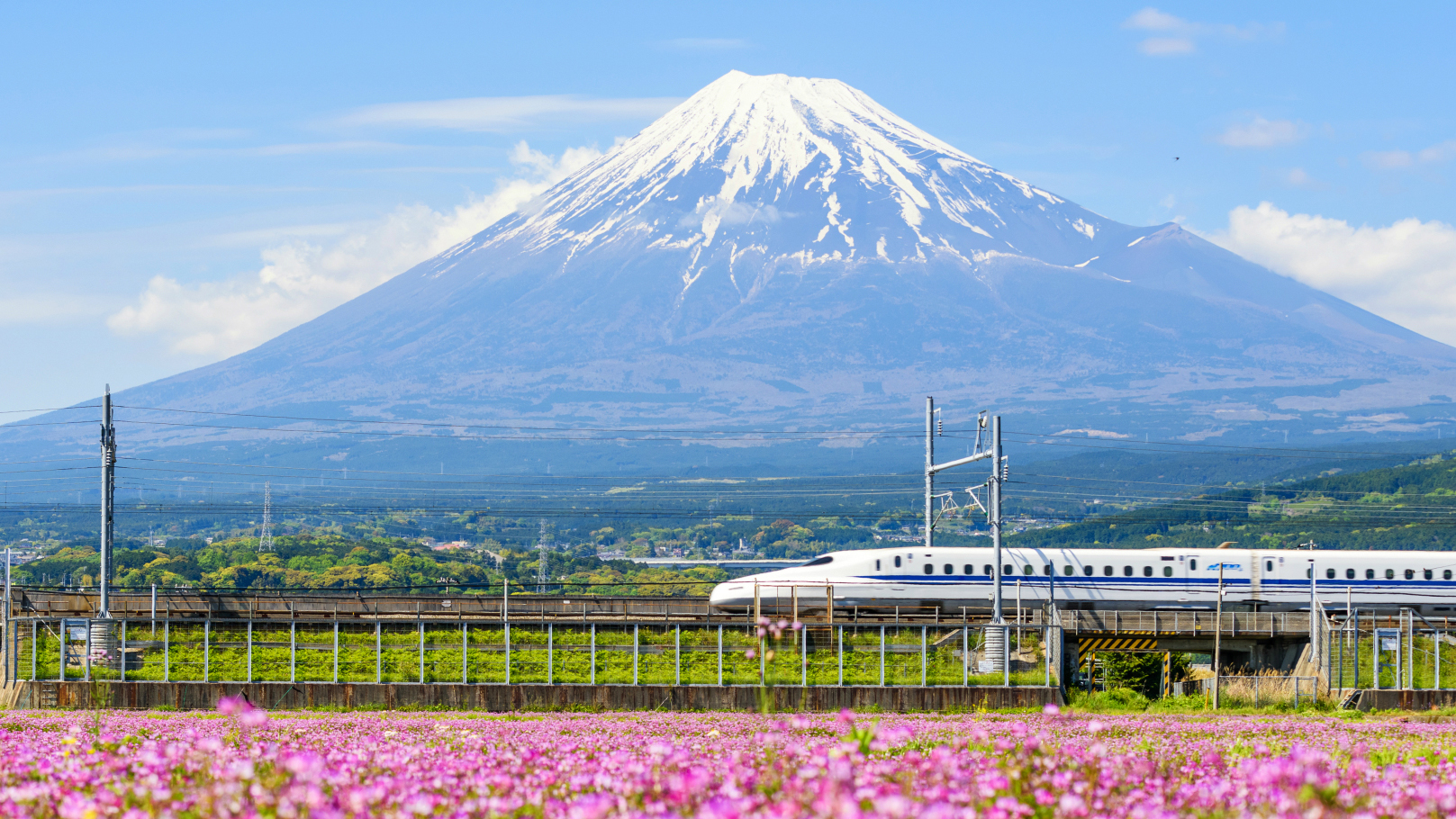  Bullet Train Ride & Kyoto Exploration