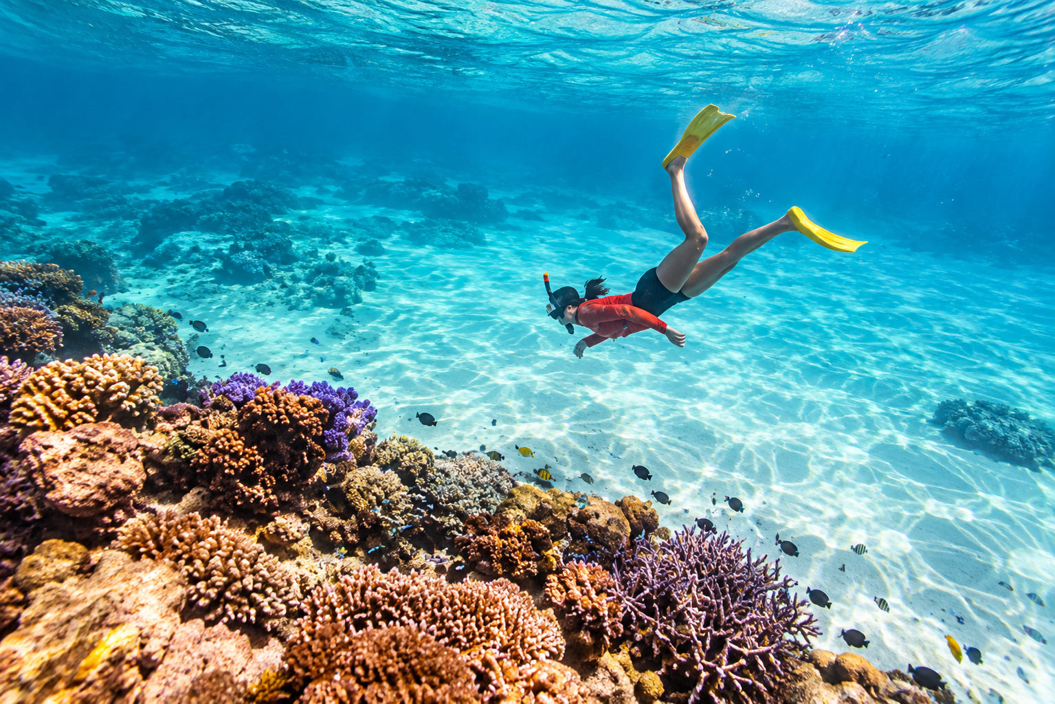 Great Barrier Reef Cruise