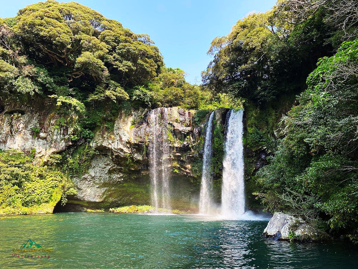  Fly from Busan to Jeju & Island Tour