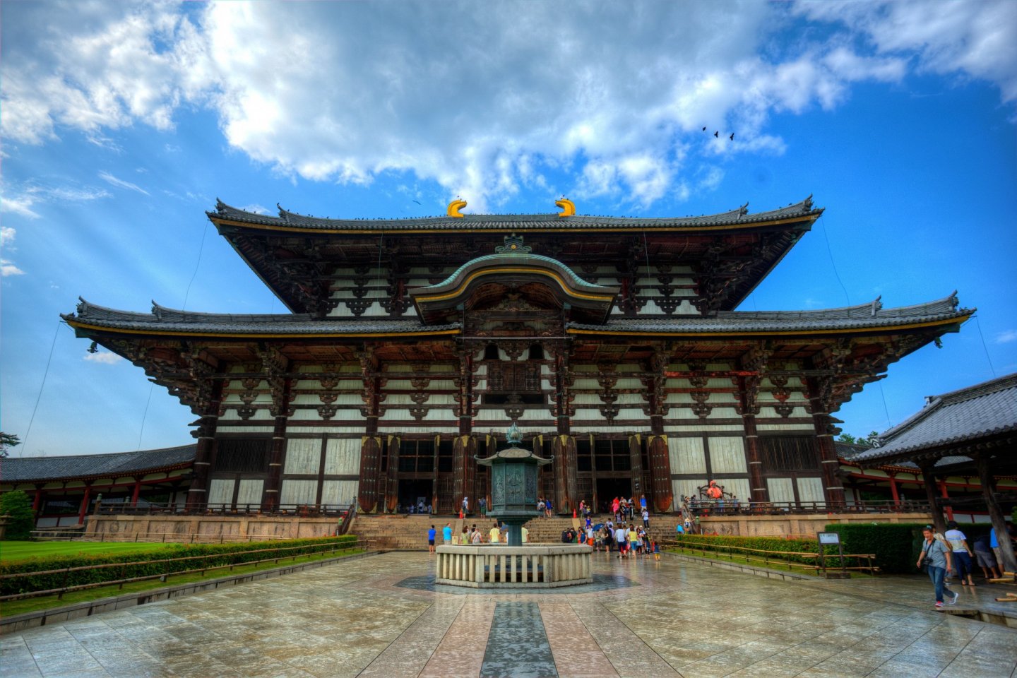 Nara and Fushimi Inari Day Trip