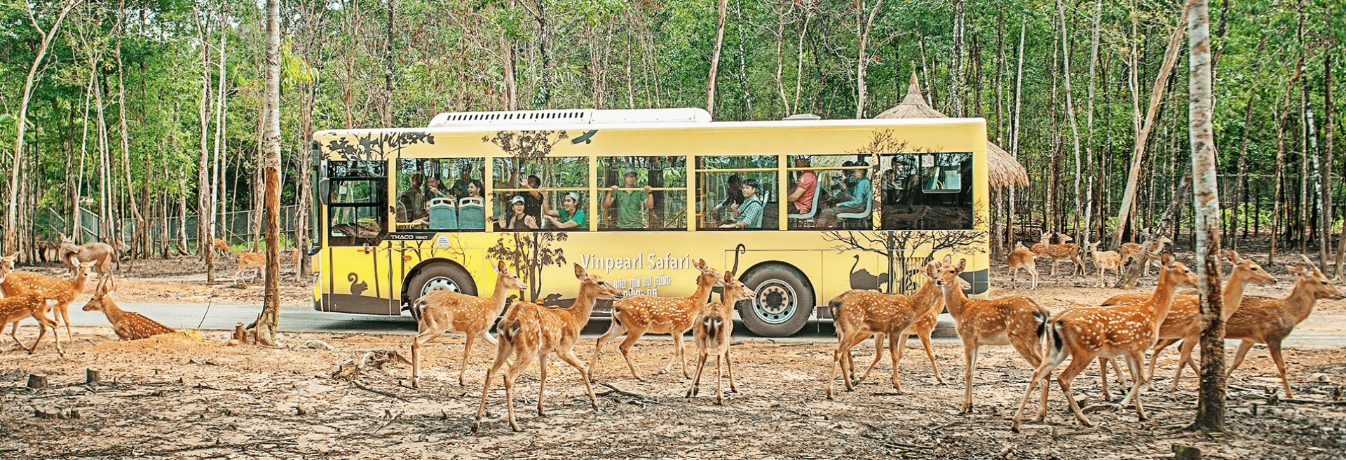 Vinpearl Safari & VinWonders Adventure